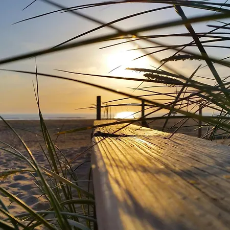 Apartamento Agoodplan Aitana Playa El Palmar (Andalucia)
